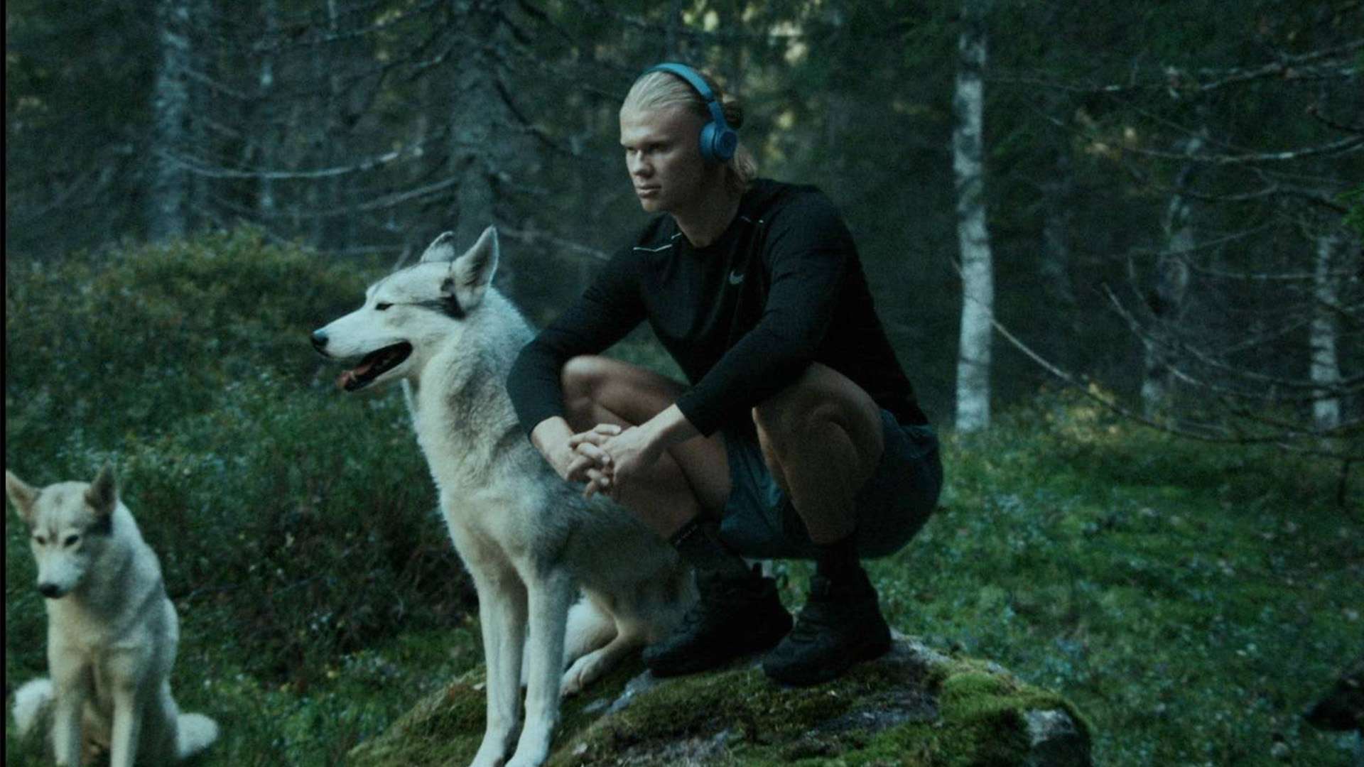 办的培训班 办的培训班