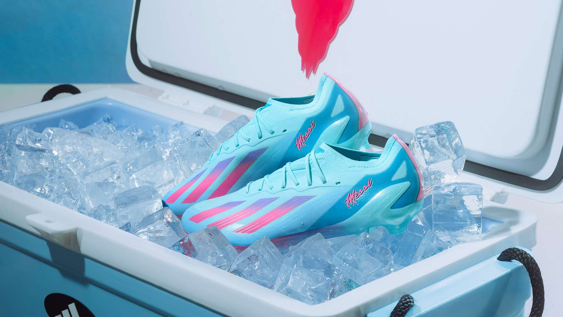 例如直播弹 例如直播弹